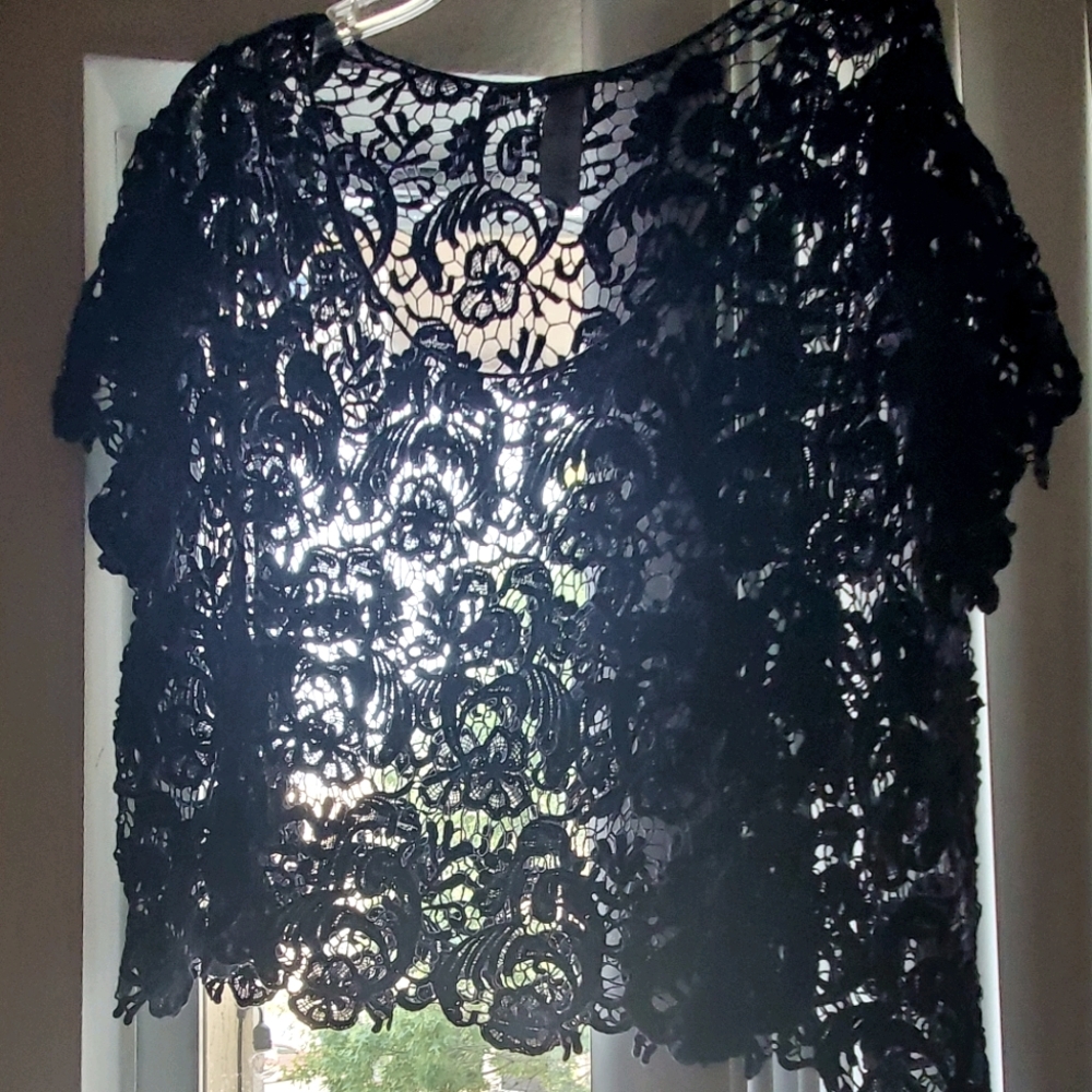 Embroidered Lace Crop Top